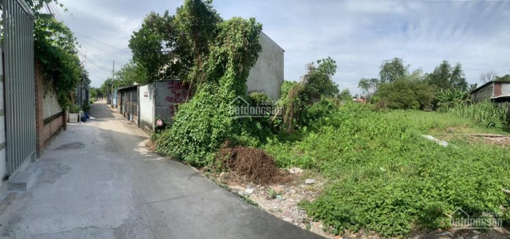 Cần bán đất vườn 1000m2 cách mặt tiền đường nhựa 700m tại Suối Nho, Định Quán