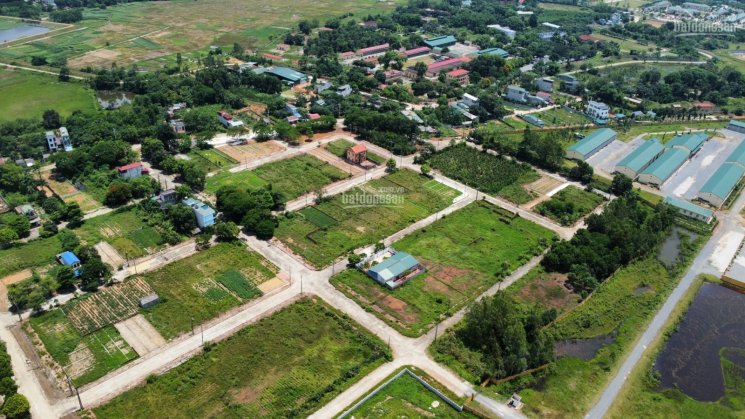 Bán đất 100m2, Hòa Lạc, mặt đường to, khu TĐC Linh Sơn