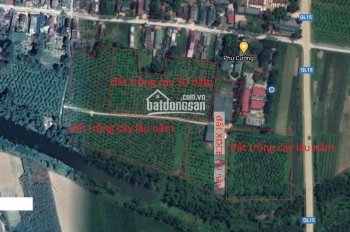 Chính chủ cần bán gấp đất trang trại 3.2 ha tại Thanh Hóa, gần sân bay Thọ Xuân 0988681148
