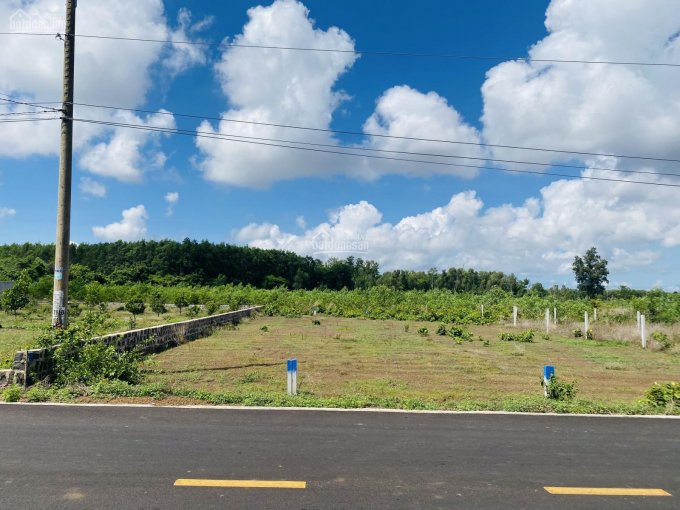 Chính chủ cần bán lô đất đẹp ngay thị trấn Đất Đỏ, Huyện Đất Đỏ, Bà Rịa Vũng Tàu