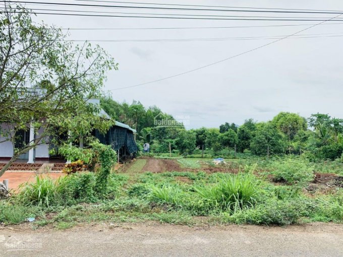 Bán đất MT nhựa Trần Văn Trương, TT Đất Đỏ, BRVT