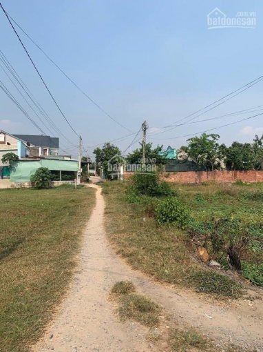 Chính chủ cần bán đất trồng lúa tại Lợi Thuận, Bến Cầu, Tây Ninh