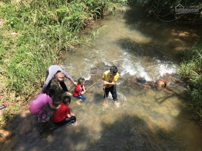 Nhà cần bán 2 mảnh vườn mít, sầu riêng có suối. Tổng 5,3 sào cách chợ Bảo Lâm 2km đường ĐT 725