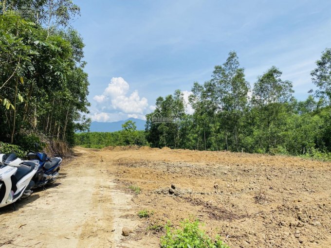 Bán đất vườn Khánh Đông - Khánh Vĩnh