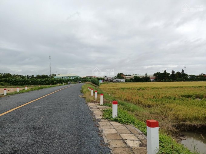 Bán 1.000m2 (40x26, đất lúa) đường ĐT846, Tân Nghĩa, H. Cao Lãnh, Đồng Tháp