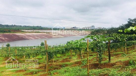 Bán 2 mẫu đất rẫy gần trung tâm huyện Chư Pưh, giá chỉ 1.4 tỷ