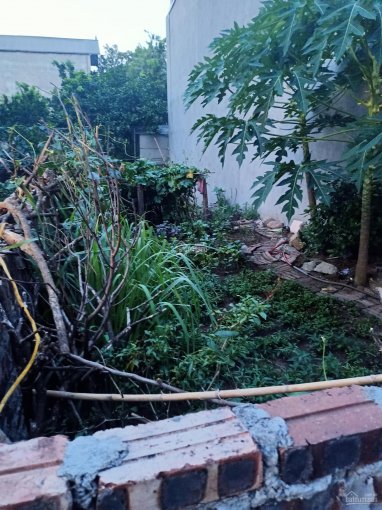 Cần bán 45m đất đông anh giá chỉ hơn 20tr