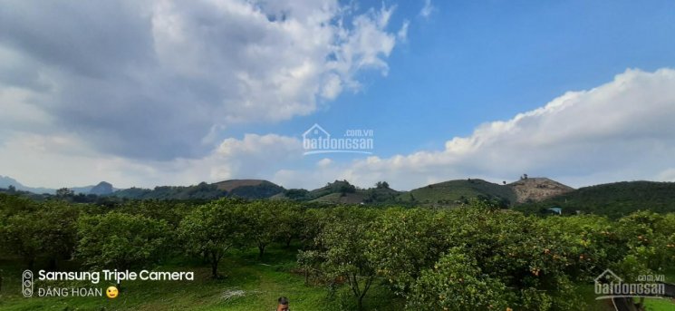 Chính chủ gửi bán mảnh đất thuộc Cao Phong, Hòa Bình, diện tích 2839.5m2, view thoáng