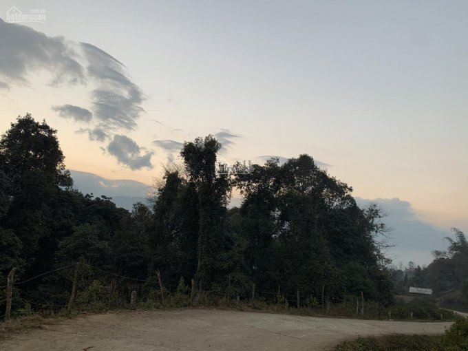 Tìm chủ nhân cho lô đất tuyệt đẹp 400m2 thôn Lao Chải - Y Tý - Lào Cai