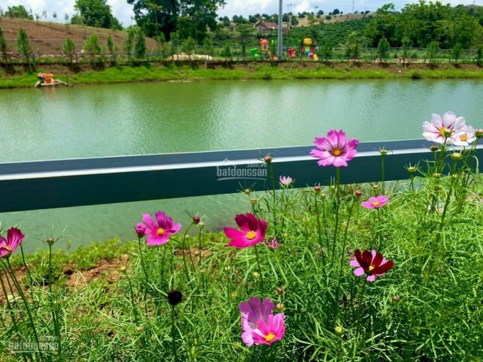 Bán gấp 2 lô view hồ từ 450 triệu/100m2 sổ hồng riêng, CCN phía Nam Đà Lạt