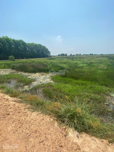 Chuyển nhượng lô đất gần 1 ha tại Lợi Thuận, Bến Cầu, Tây Ninh