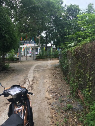 Bán đất sổ riêng thổ cư xã Thạnh Phú, Vĩnh Cửu, Đồng Nai, gần khu dân cư Lavender