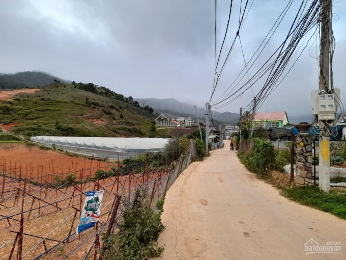 Cần bán đất ở xây dựng tại thị trấn Lạc Dương - Lâm Đồng. Giá bán: 2.050 tỷ