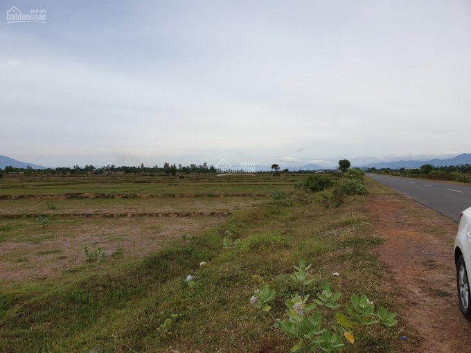 Bán đất mặt tiền đường lớn, gần biển thuộc Nam Vân Phong, Ninh Hòa. LH: 0971 333 638 (Thắng)