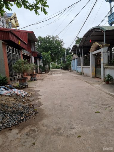 Đất hiếm có khó tìm 96m2 đất đẹp lung linh tại trung tâm huyện Sóc Sơn, Hà Nội đất đẹp, an ninh tốt