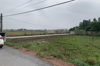 Chính chủ cần bán đất đấu giá thôn Kim Quan, xã Tiên Thanh, Huyện Tiên Lãng (ô tô tránh nhau)