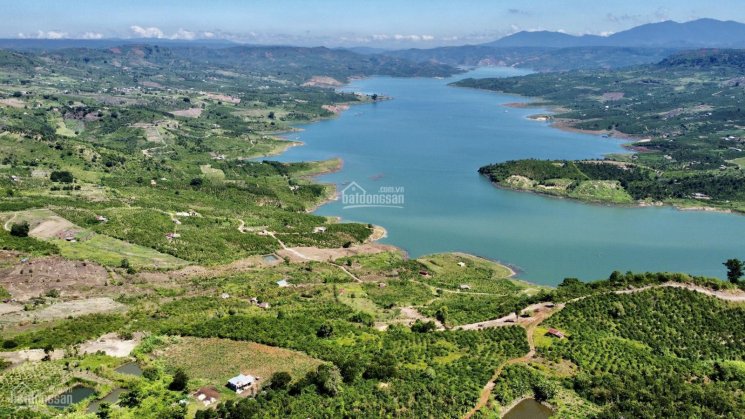 Cần bán hơn 1.6 ha đất view sông Đồng Nai - xã Tân Nghĩa - Di Linh, đẹp từ mọi góc nhìn