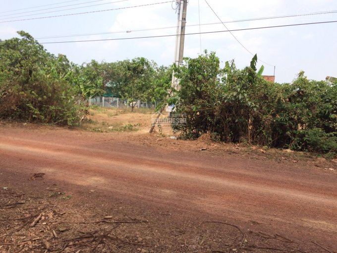 Cần bán 1.5 hecta đất trồng cây lâu năm, mặt tiền rộng 38m, đường 10m tại Xã Phú Lý