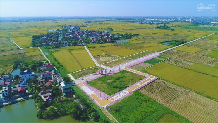 Bán nhanh lô đất trục chính KDC Trạch Xá, Tân Hồng, Bình Giang - gần đường 392 giá cực tốt