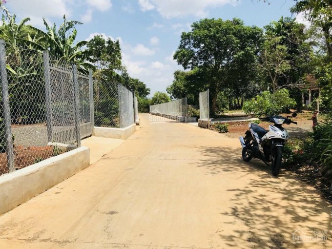 Lô duy nhất đường nhánh Nam Kỳ Khởi Nghĩa, TT Đất Đỏ