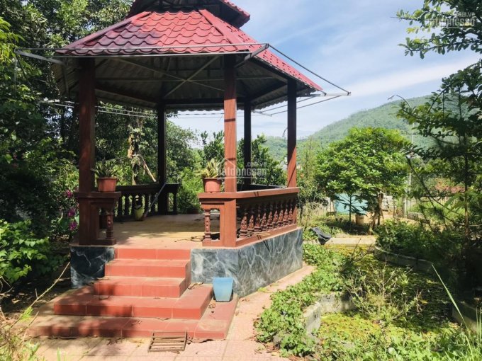 Bán đất thị trấn Lương Sơn 2627m2, khuôn viên cơ bản view thoáng