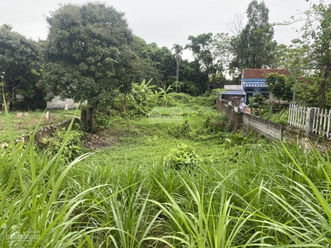 Cần bán nhanh 1260m2 đất làm nhà nhà vườn nghỉ dưỡng giá đầu tư tại Tân Tiến, Chương Mỹ, Hà Nội