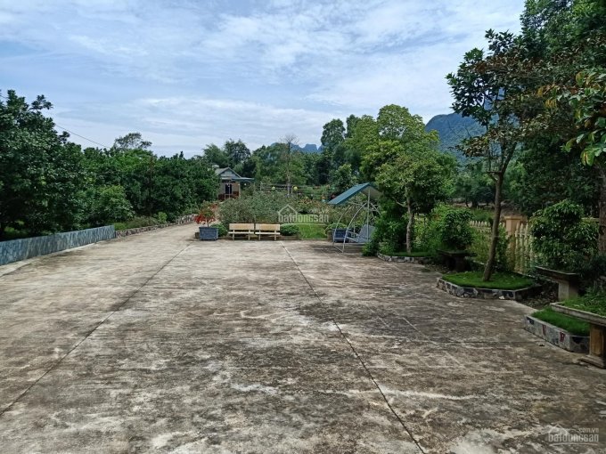 Bán nhanh căn nhà vườn tại xã Cố Nghĩa, Lạc Thủy, Hòa Bình