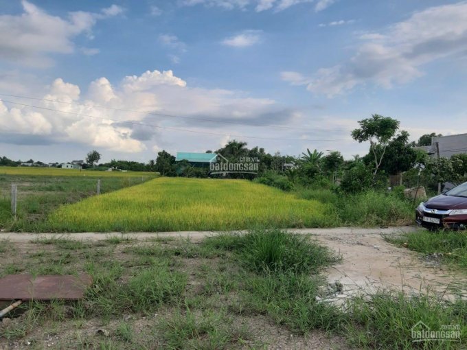 Đất 20*50m đất lúa lên thổ được, Cần Đước, Long An