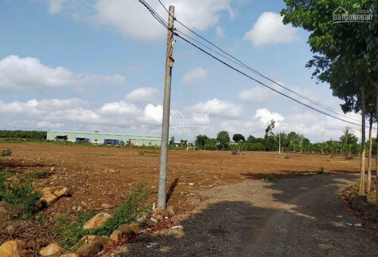 Bán đất xã Sông Trầu, Trảng Bom, Đồng Nai, DT 12000m2