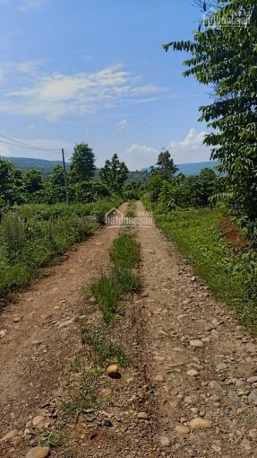 Đất đẹp, giá tốt Di Linh, view sông Đồng Nai