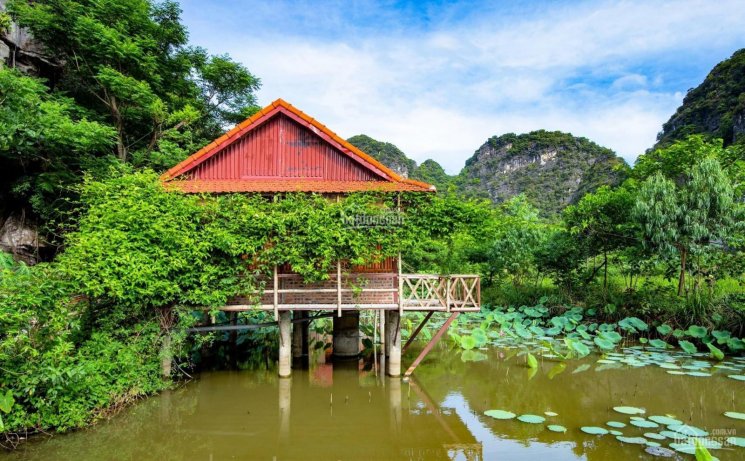 Chính chủ cần bán khu homestay thôn Khê Thượng, xã Ninh Xuân, huyện Hoa Lư, Ninh Bình, 0981896789