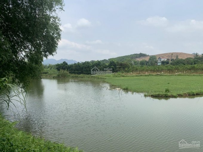 Bán đất Lạc Thủy, Hòa Bình, diện tích rộng 7600 m2 có 400 m2 đất thổ cư