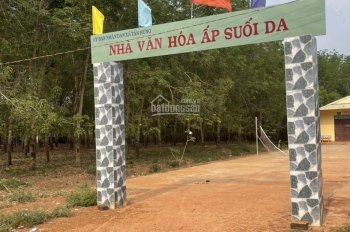Bán 5 hecta cao su thuộc xã Tân Hưng - Đồng Phú