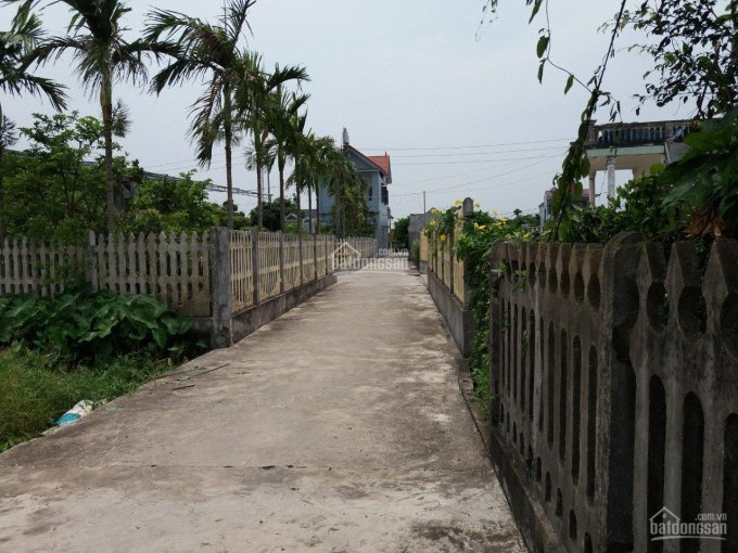 Bán đất biệt thự nghỉ dưỡng thị trấn biển Thịnh Long(sắp lên thị xã), huyện Hải Hậu, tỉnh Nam Định