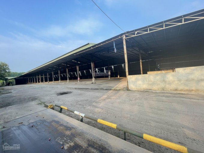 Cần bán xưởng giá rẻ mua covid tại Chơn Thành Bình Phước