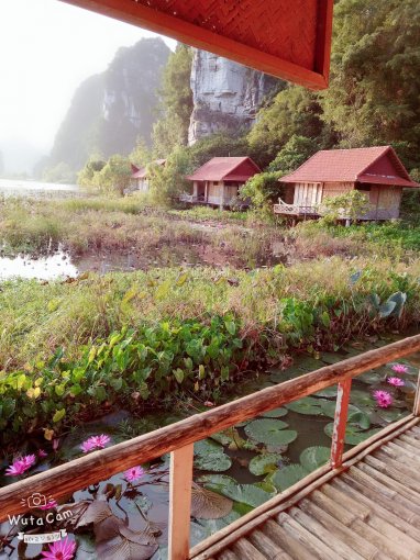 Chính chủ cần bán khu homestay thôn Khê Thượng, xã Ninh Xuân, huyện Hoa Lư, Ninh Bình, 0981896789