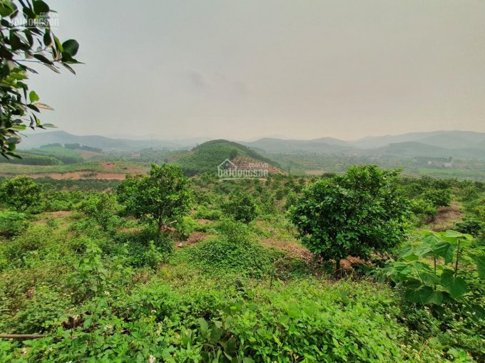 Bán đất vườn đồi tại Bắc Giang