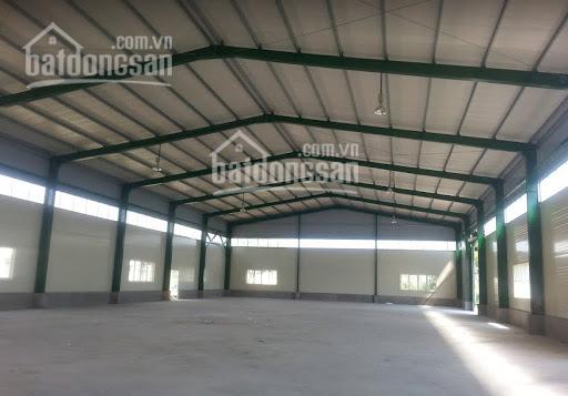 Bán gấp 4500m2 mặt QL10, Thái Bình