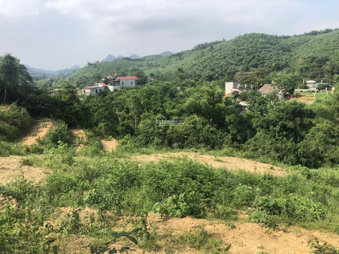 Cần bán 2,1ha đất trang trại mặt sông view tuyệt đẹp tại xã Bình Sơn, Kim Bôi