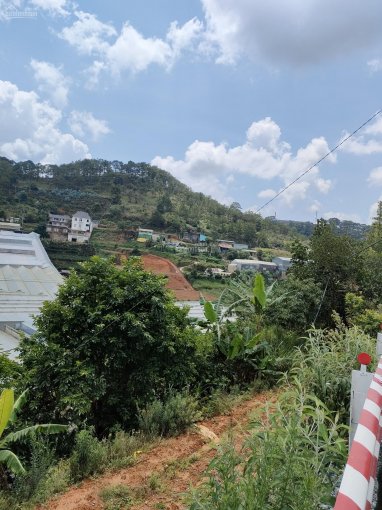 Bán trang trại trồng hoa 13.000 mét 2 ở xã Xuân Thọ, TP. Đà Lạt, nằm bên cạnh Quốc Lộ 20