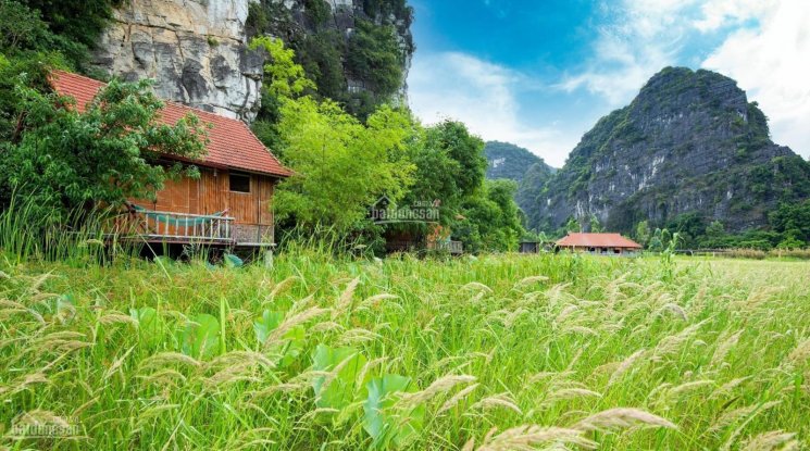 Chính chủ cần bán khu homestay thôn Khê Thượng, xã Ninh Xuân, huyện Hoa Lư, Ninh Bình, 0981896789