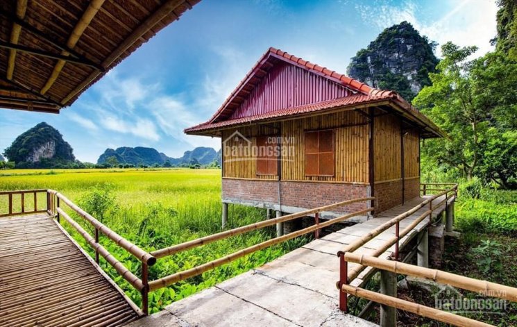 Chính chủ cần bán khu homestay thôn Khê Thượng, xã Ninh Xuân, huyện Hoa Lư, Ninh Bình, 0981896789