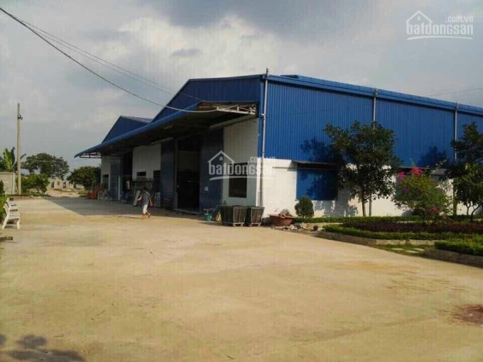 Bán kho xưởng tại xã Trường Đông, huyện Hòa Thành, Tây Ninh diện tích 13800 mét vuông