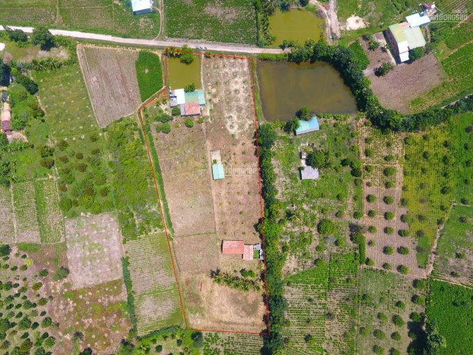 Chủ kẹt bank bán 2,5 tỷ sở hữu khu vườn bằng phẳng, VAC khu vực đông dân