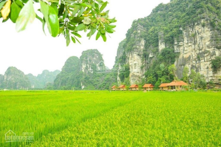 Chính chủ cần bán khu homestay thôn Khê Thượng, xã Ninh Xuân, huyện Hoa Lư, Ninh Bình, 0981896789