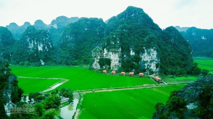 Chính chủ cần bán khu homestay thôn Khê Thượng, xã Ninh Xuân, huyện Hoa Lư, Ninh Bình, 0981896789