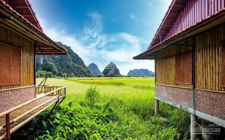 Chính chủ cần bán khu homestay thôn Khê Thượng, xã Ninh Xuân, huyện Hoa Lư, Ninh Bình, 0981896789