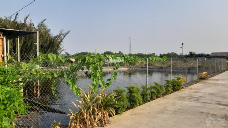 Chính chủ bán nhà vườn 1711m2 Phước Vĩnh Tây, sẵn nhà vườn ao cá, SHR, đường xe - hơi giá: 3,4 tỷ