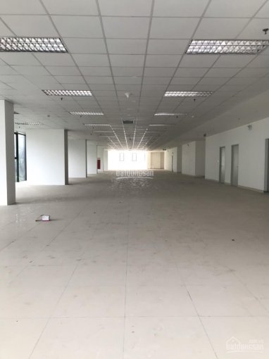 Bán sàn thương mại - văn phòng tại Nguyễn Tuân 3000 m2 giá hấp dẫn