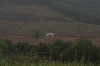 Bán đất vườn đồi tại Bắc Giang
